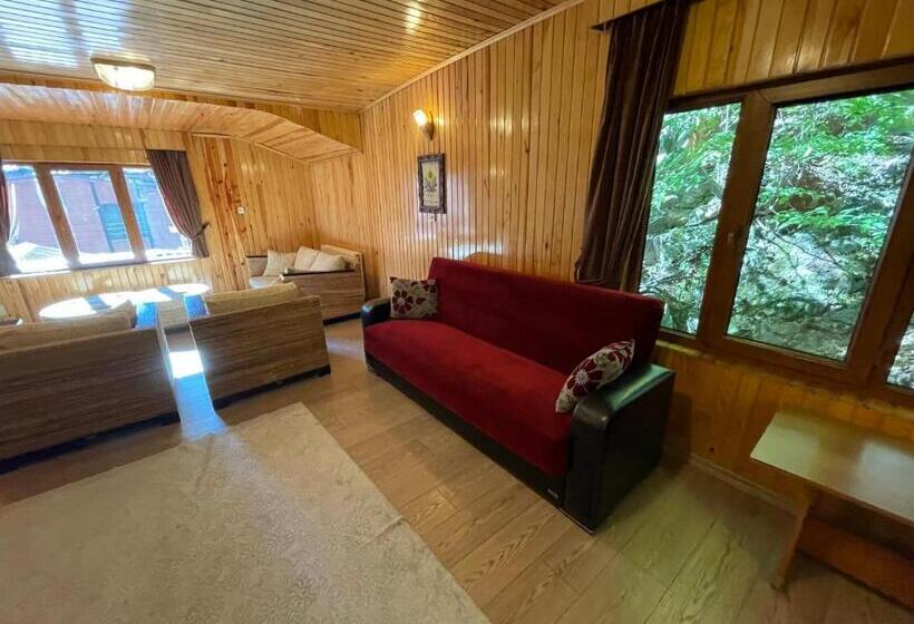 سوئیت با تخت بزرگ, Ozkan Otel