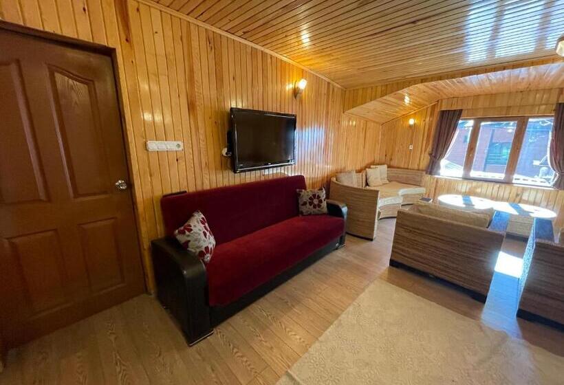 سوئیت با تخت بزرگ, Ozkan Otel