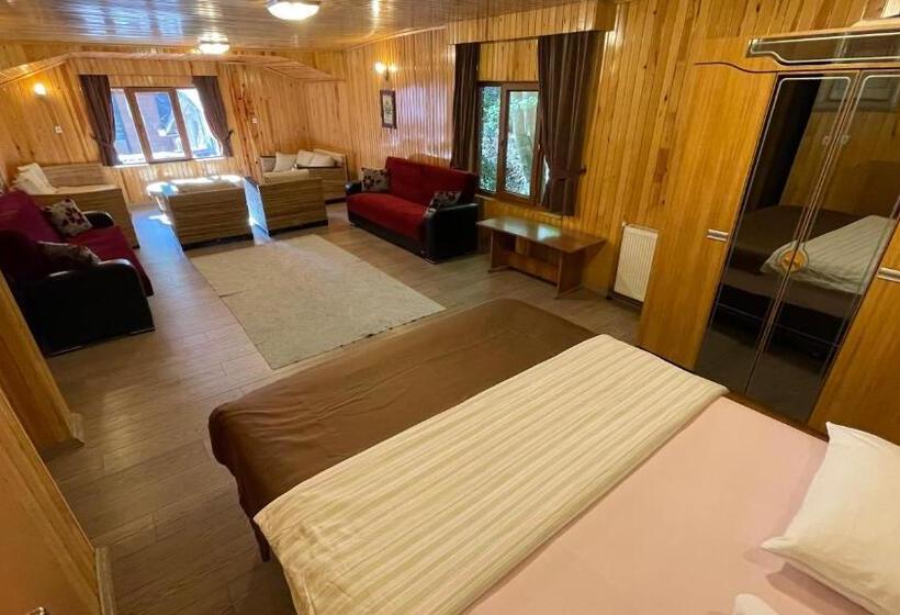 سوئیت با تخت بزرگ, Ozkan Otel
