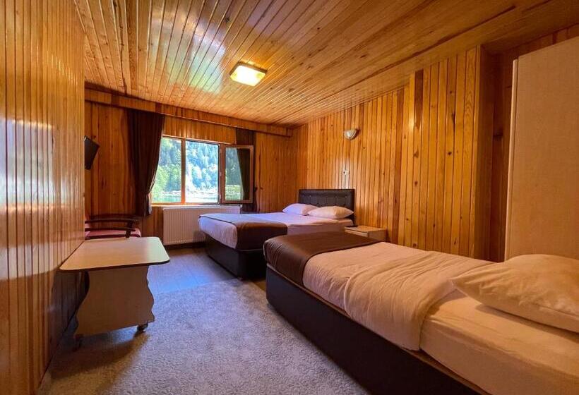 اتاق لوکس با چشم‌انداز دریاچه, Ozkan Otel