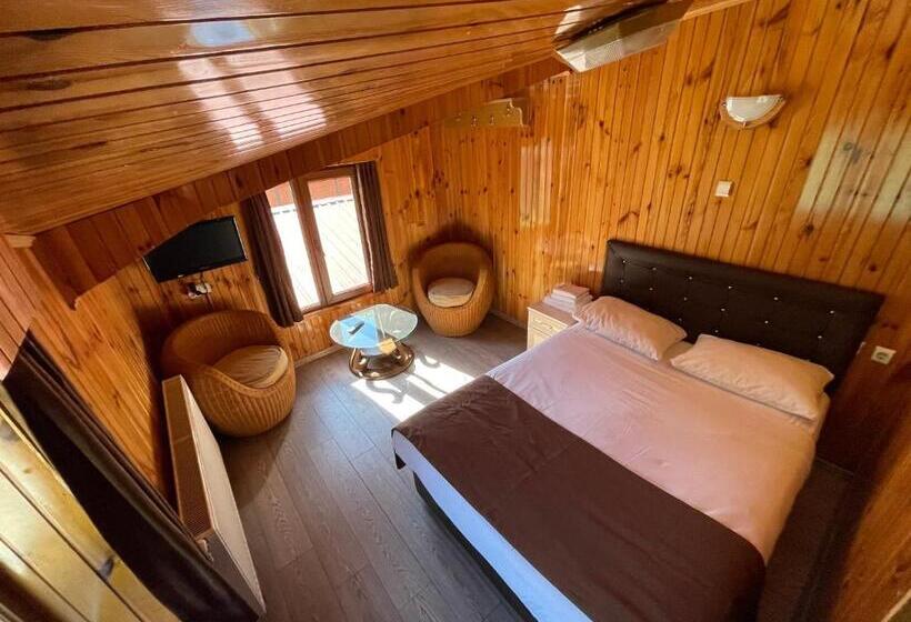 اتاق استاندارد با چشم‌انداز دریاچه, Ozkan Otel