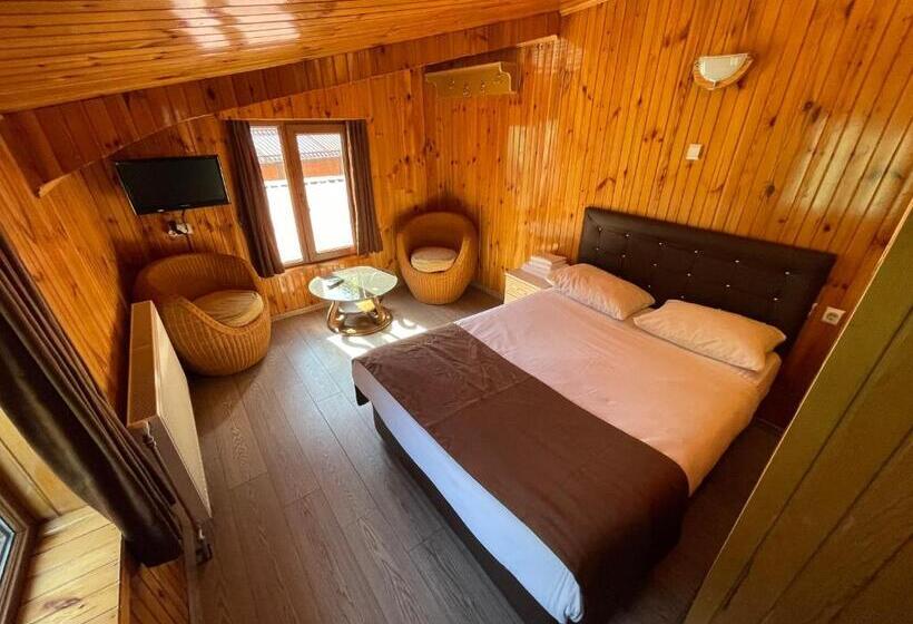اتاق استاندارد با چشم‌انداز دریاچه, Ozkan Otel
