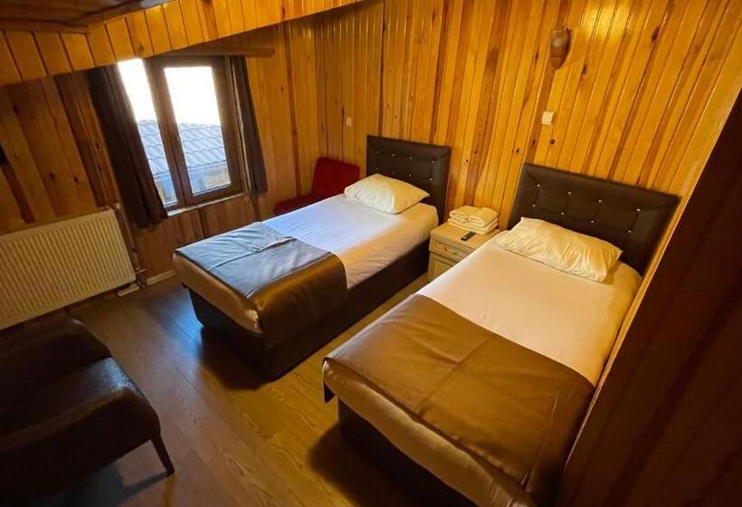 اتاق استاندارد پلاس, Ozkan Otel