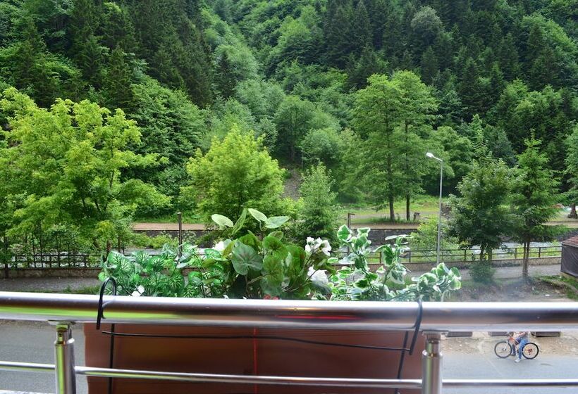 اتاق خانوادگی, Ecrin Hotel Uzungol
