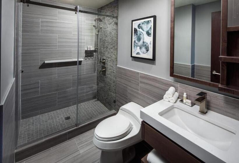 اتاق استاندارد با تخت بزرگ, Indigo Flushing   Laguardia