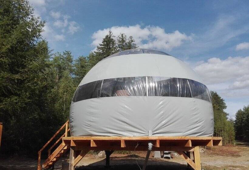 Хижина, Les Bulles De Sologne   Hébergements Insolites