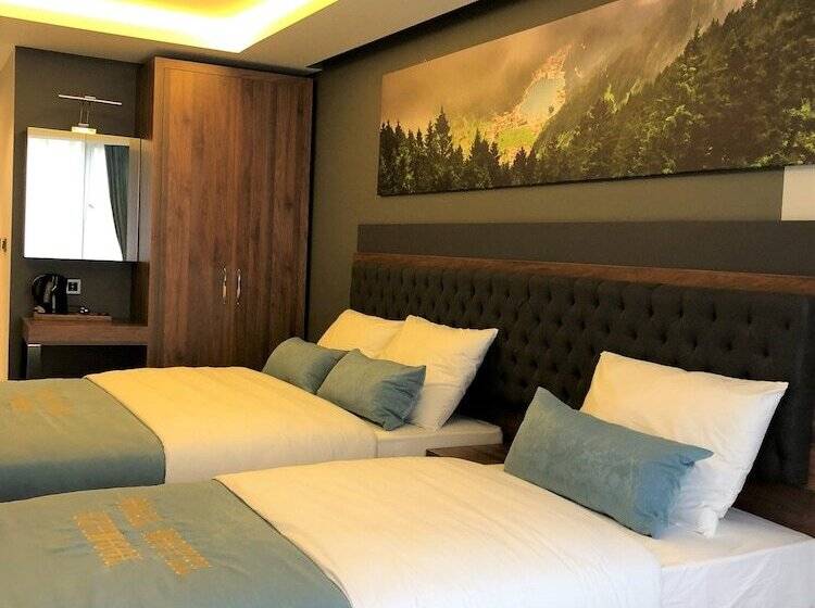 اتاق استاندارد سه نفره, Onal Motel