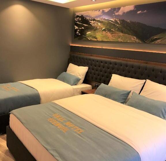 اتاق استاندارد سه نفره, Onal Motel