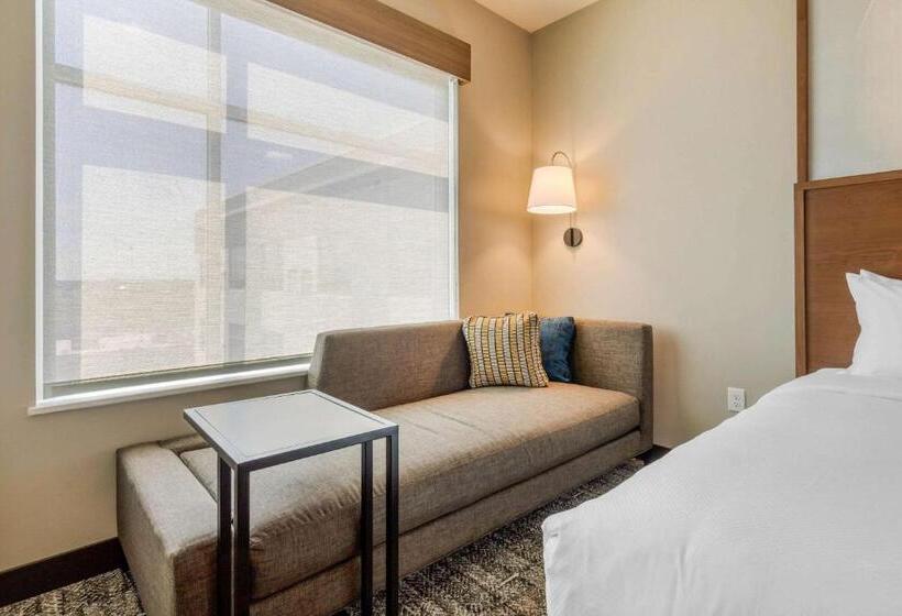 اتاق استاندارد, Cambria Hotel Davenport Quad Cities