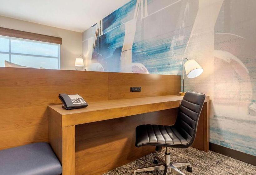 اتاق استاندارد با تخت بزرگ, Cambria Hotel Davenport Quad Cities