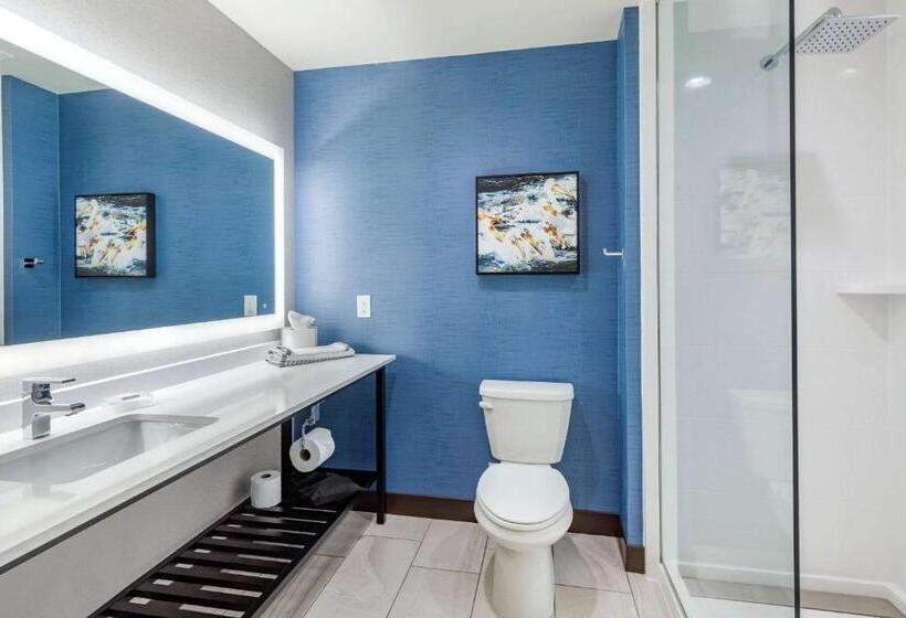 اتاق استاندارد با تخت بزرگ, Cambria Hotel Davenport Quad Cities
