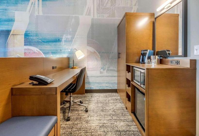 اتاق استاندارد با تخت بزرگ برای معلولان, Cambria Hotel Davenport Quad Cities