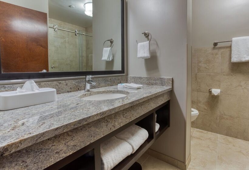 اتاق لوکس, Drury Plaza Hotel Dallas Richardson