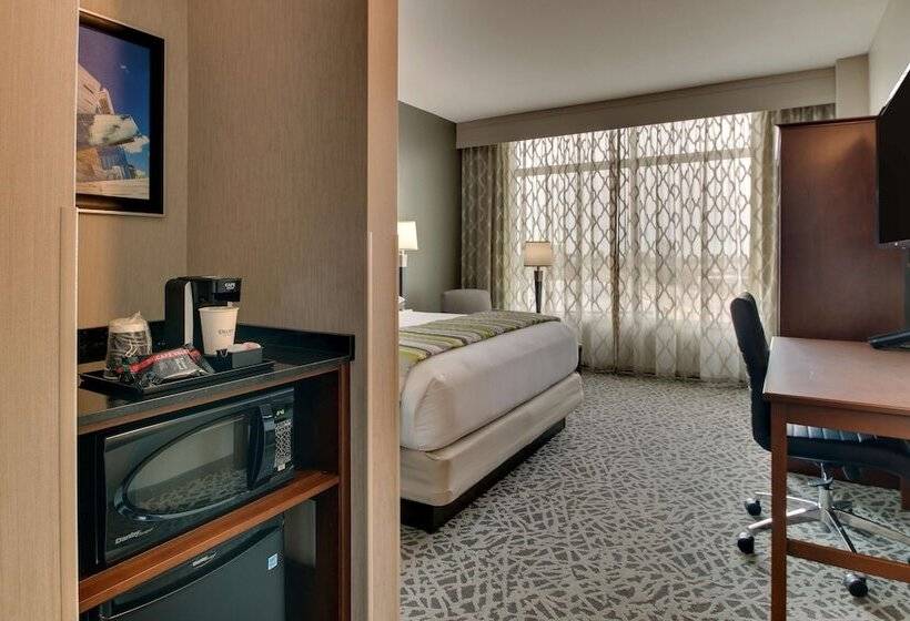 اتاق لوکس, Drury Plaza Hotel Dallas Richardson