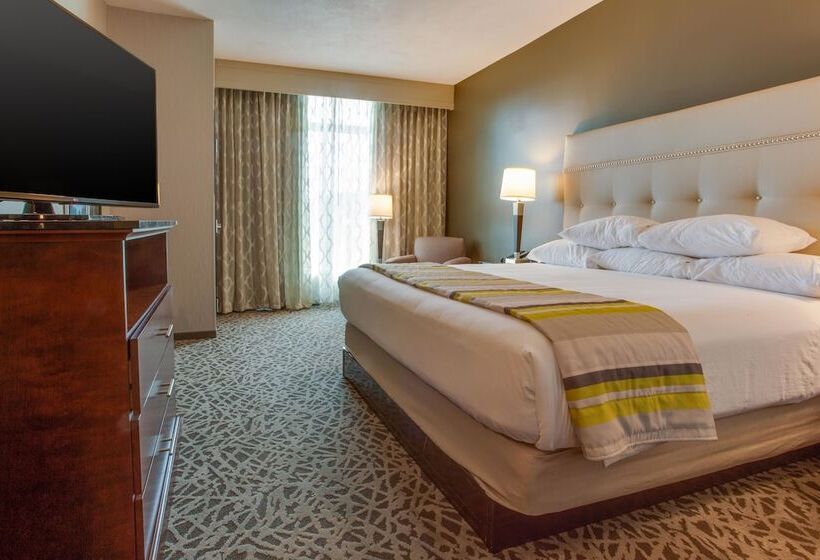 اتاق لوکس, Drury Plaza Hotel Dallas Richardson