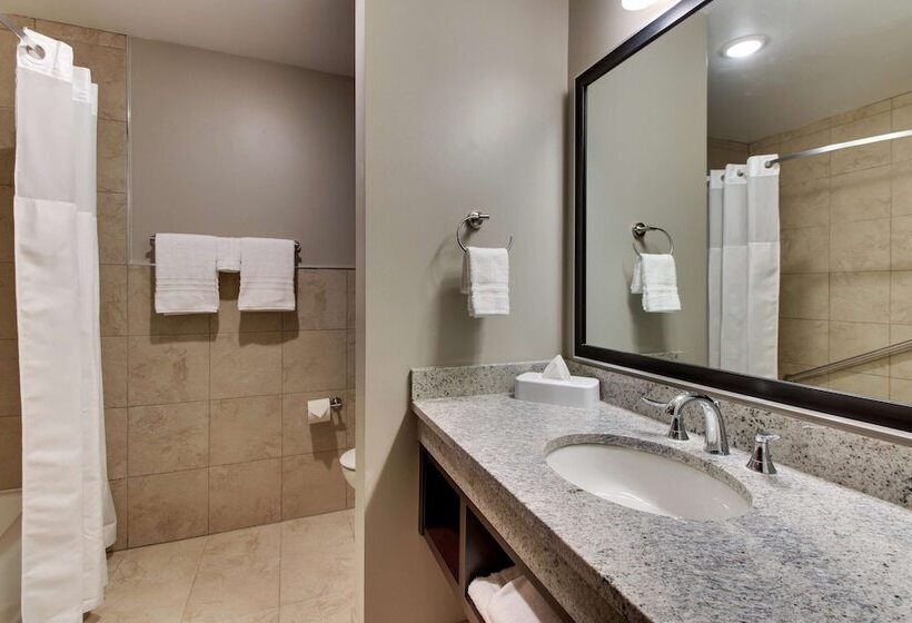 اتاق دلوکس مخصوص معلولین, Drury Plaza Hotel Dallas Richardson