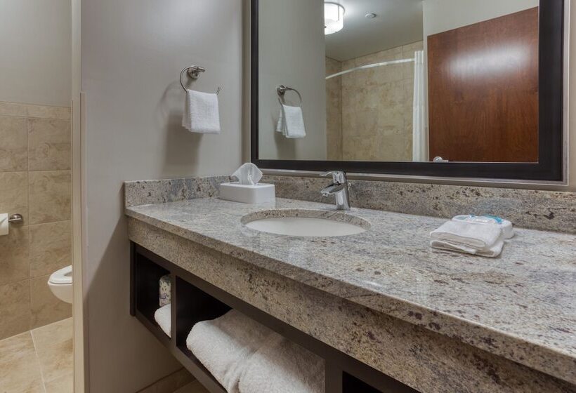 اتاق دلوکس مخصوص معلولین, Drury Plaza Hotel Dallas Richardson