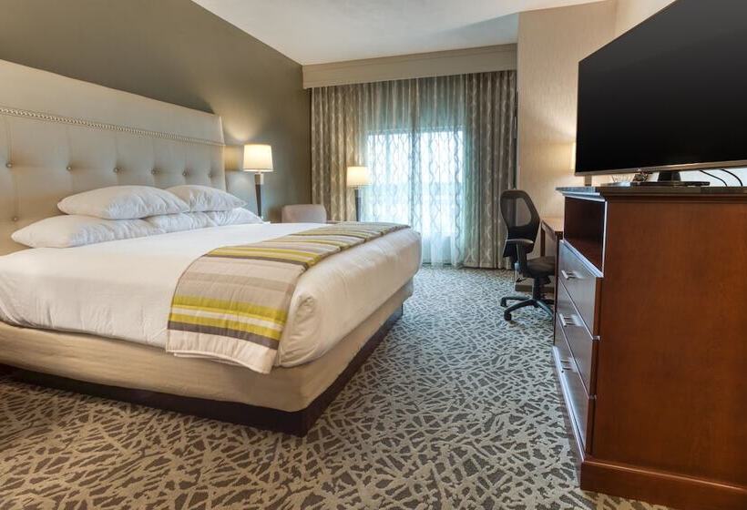 اتاق دلوکس مخصوص معلولین, Drury Plaza Hotel Dallas Richardson