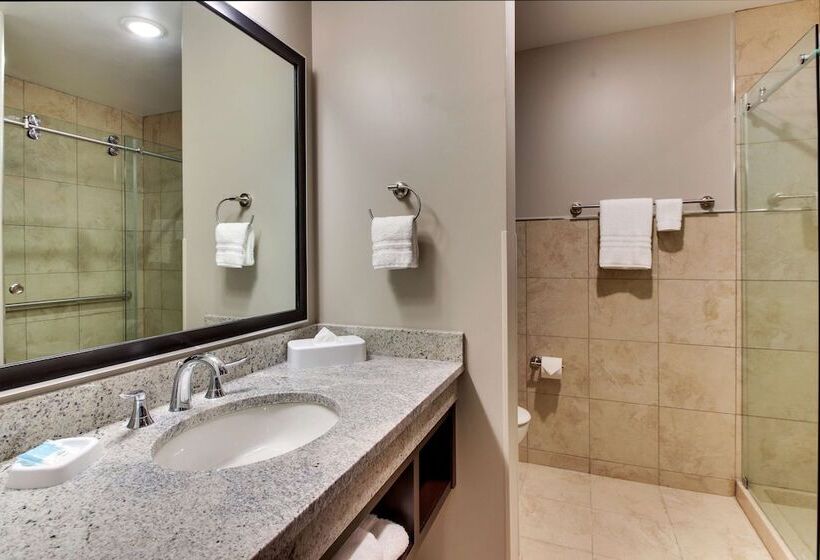 سوییت, Drury Plaza Hotel Dallas Richardson