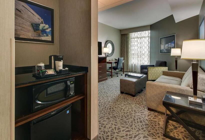 Deluxe Suite King Bed, Drury Plaza Hotel Dallas Richardson