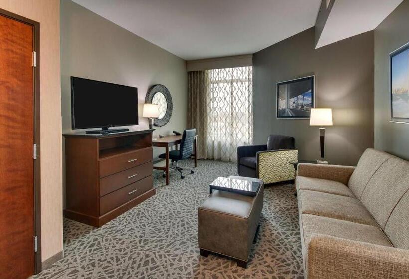 Deluxe Suite King Bed, Drury Plaza Hotel Dallas Richardson