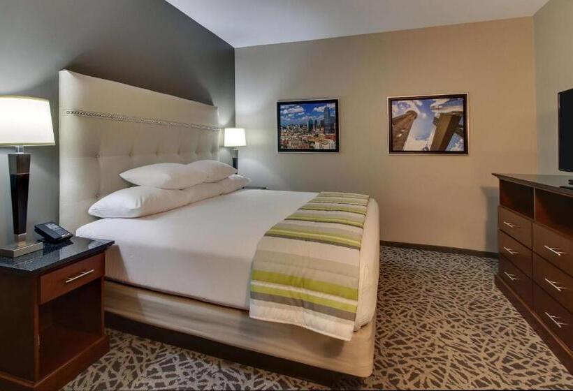 استودیو استاندارد با تخت کینگ, Drury Plaza Hotel Dallas Richardson