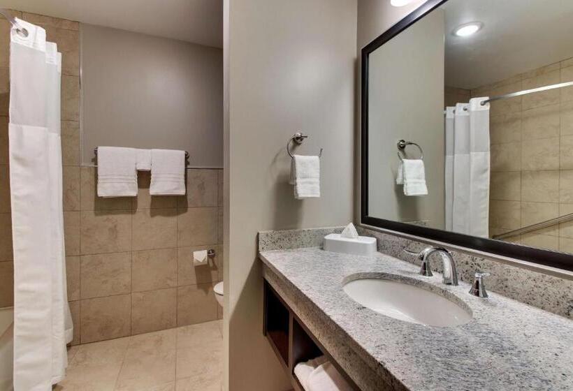 اتاق دلوکس مخصوص معلولین, Drury Plaza Hotel Dallas Richardson