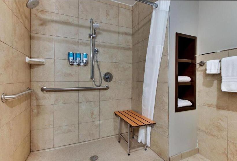 اتاق سوپریور برای معلولان, Drury Plaza Hotel Dallas Richardson