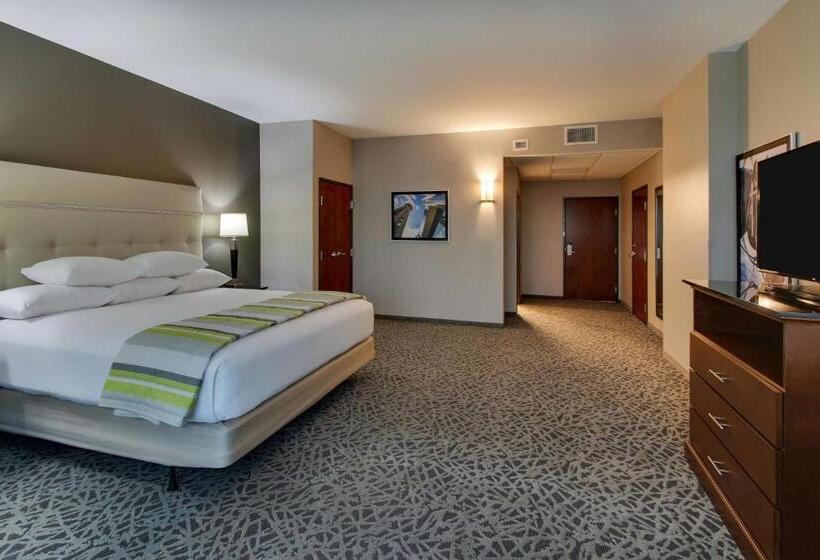 اتاق سوپریور برای معلولان, Drury Plaza Hotel Dallas Richardson
