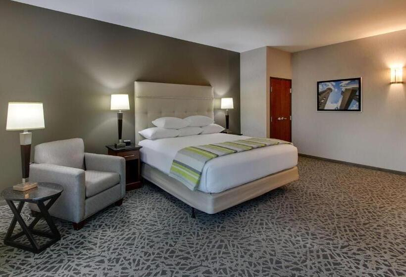 اتاق سوپریور برای معلولان, Drury Plaza Hotel Dallas Richardson