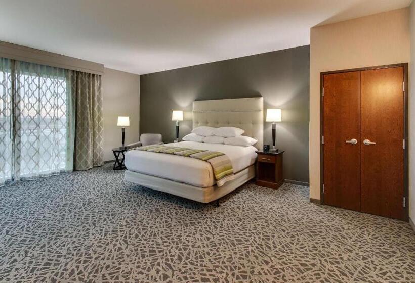 اتاق سوپریور برای معلولان, Drury Plaza Hotel Dallas Richardson