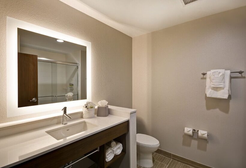Люкс, Holiday Inn Express & Suites   Houston Nasa   Boardwalk Area, An Ihg