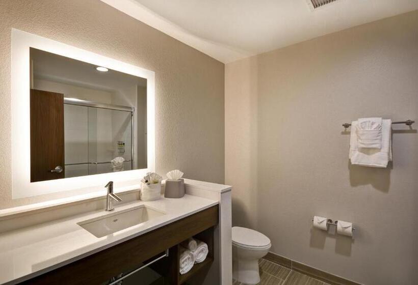 Люкс Кровать Кинг, Holiday Inn Express & Suites   Houston Nasa   Boardwalk Area, An Ihg