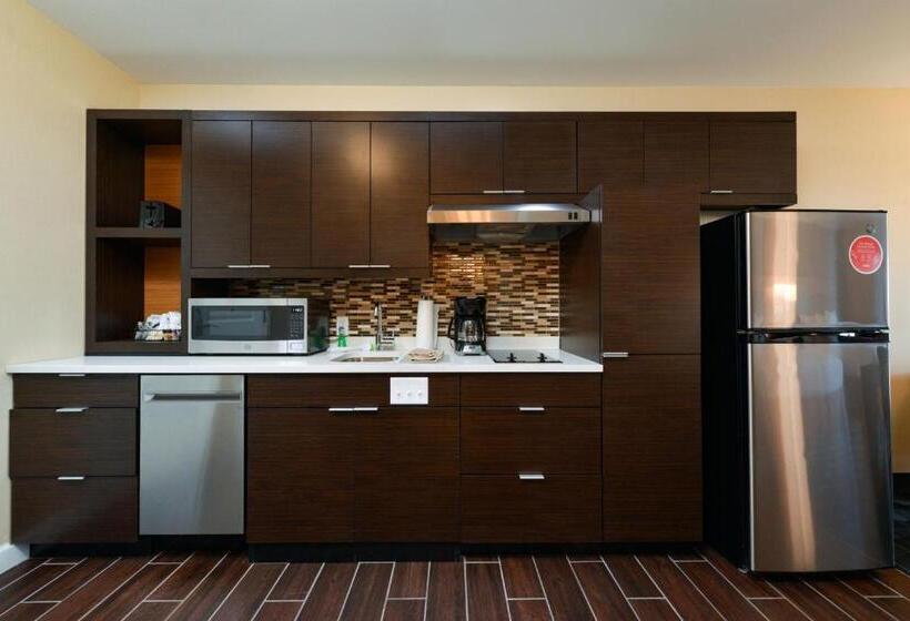 스탠다드 스튜디오, Towneplace Suites By Marriott Detroit Belleville