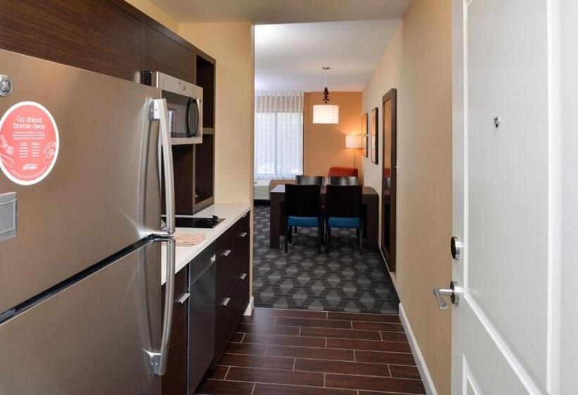 스탠다드 스튜디오, Towneplace Suites By Marriott Detroit Belleville