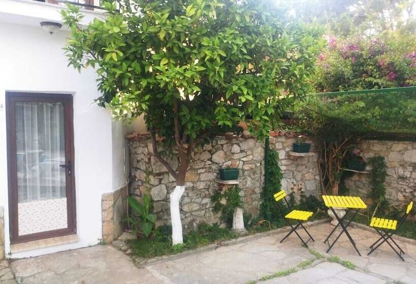 اتاق استاندارد با چشم‌انداز استخر, Nehir Dalyan Boutique Otel