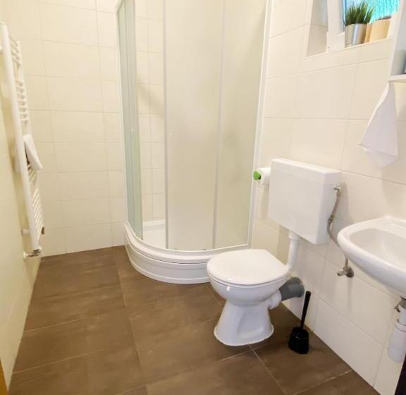 اتاق اکونومی, Guesthouse Stari Jasen