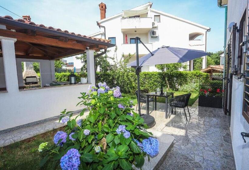 آپارتمان 1 خوابه با چشم‌انداز باغ, Apartments Silvano 407