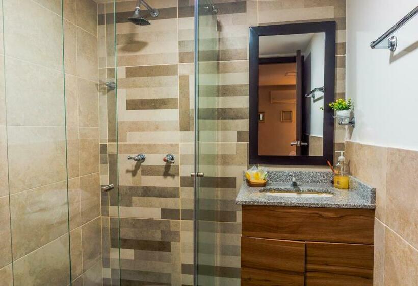 اتاق استاندارد, Alamos Del Parque