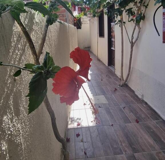 اتاق استاندارد چهار تخته, Pousada Lua De Jeri