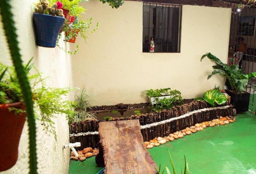 标准间, Pousada Residencial Porto De Galinhas