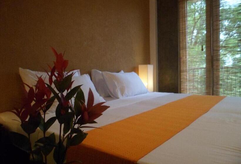 Deluxe Room, Go Go Green Resort