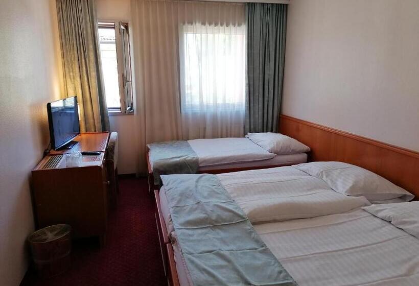 Трехместный Номер Базовый, Hôtel Des Trois Rois
