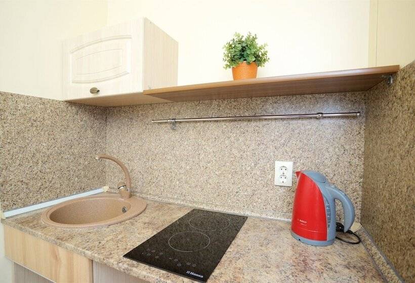 Apartamento 1 Dormitório, Mini Hotel Na Bolshom Prospekte V.o