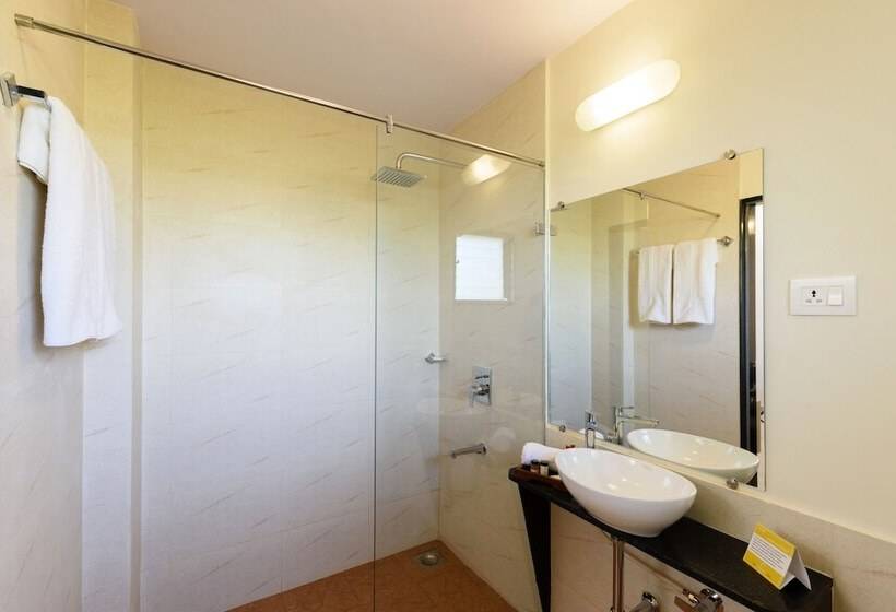 اتاق لوکس, Oliva Resort
