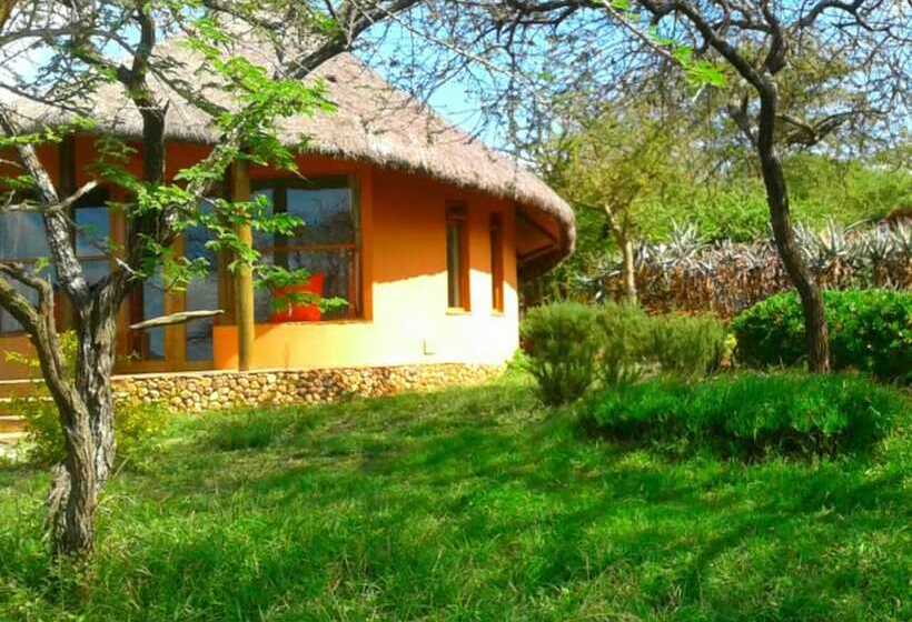 تختخواب در اتاق مشترک, Amazing Kenya Retreat