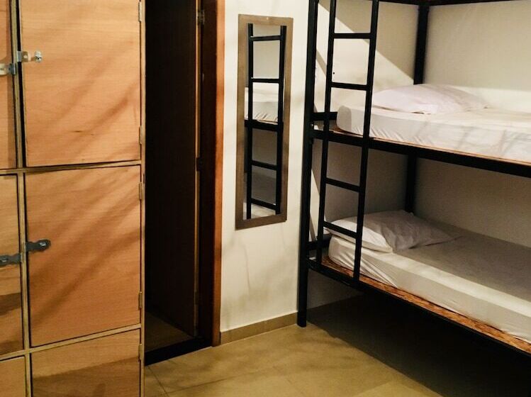 تختخواب در اتاق مشترک, A Coroa Hostel & Suites