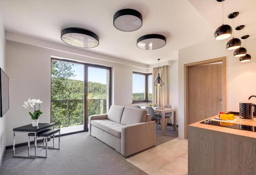 Апартаменты Премиум 1 Спальня, Czarny Kamień Resort & Spa