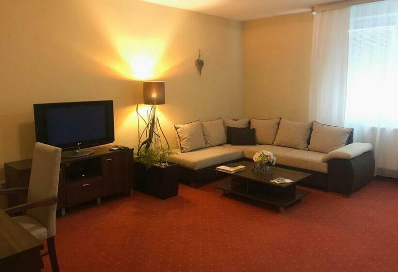 شقة سوبريور غرفة واحدة, Grand Hotel Senica, Garni