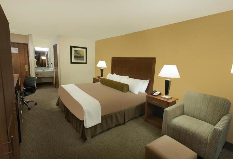 Номер Стандарт Кровать Кинг Адаптированный для Инвалидов, Best Western Plus Atrium Inn